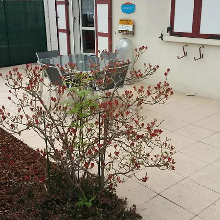 Apartment Le Meix Du 3 Etoiles - 200 M Du - 50 M Navette Gerardmer