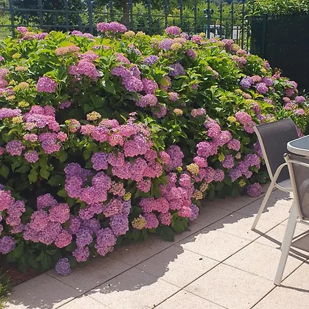 Le Meix Du 3 Etoiles - 200 M Du - 50 M Navette Appartement Gérardmer