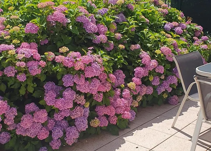 Le Meix Du 3 Etoiles - 200 M Du - 50 M Navette Lägenhet Gérardmer
